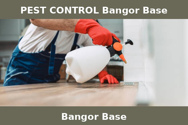PEST CONTROL Bangor Base
